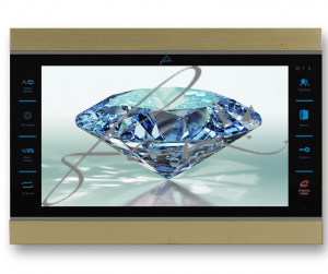 FX-HVD100A V2 Алмаз 10G Золотой